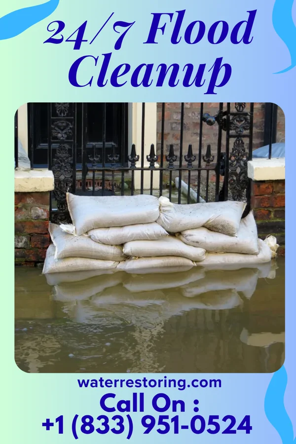 24/7 Flood Cleanup in Chatmoss, VA