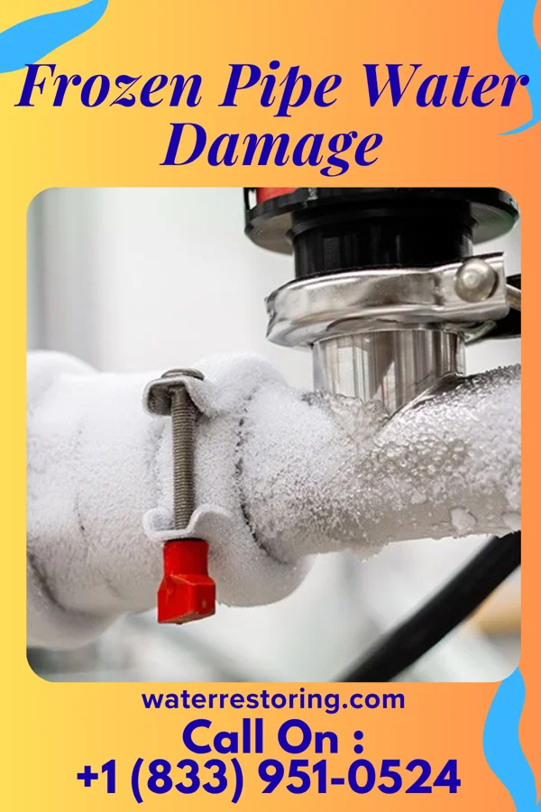 Frozen Pipe Water Damage in Chatmoss, VA