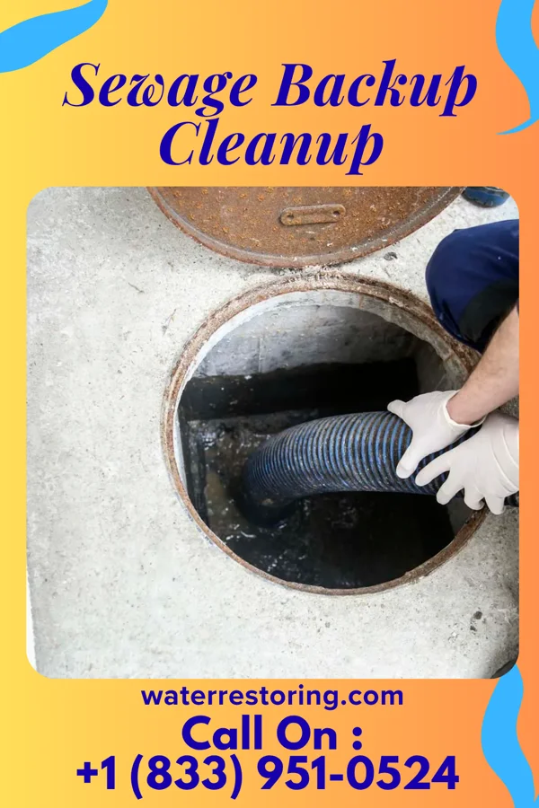 Sewage Backup Cleanup in Chatmoss, VA