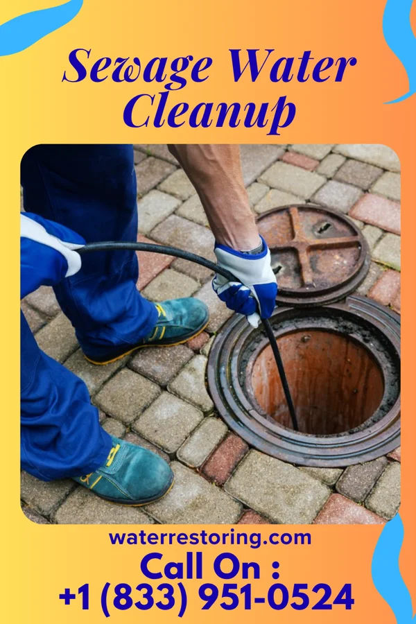 Sewage Water Cleanup in Chatmoss, VA